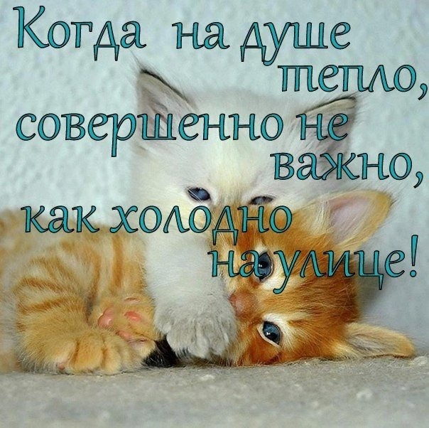 Открытки хочется тепла
