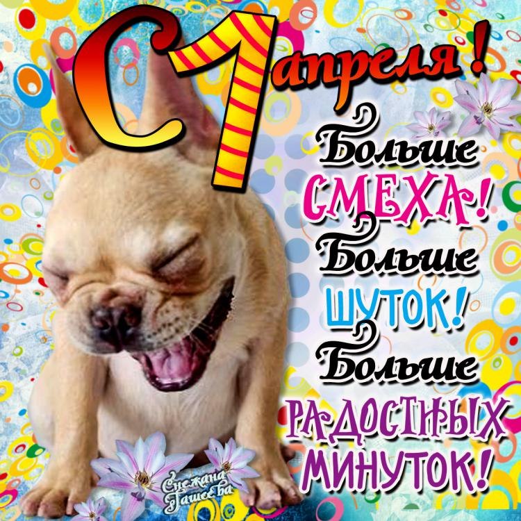 Смешные, день юмора картинки