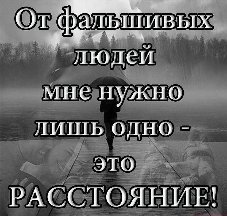 Картинки с надписью фальшивые вы все
