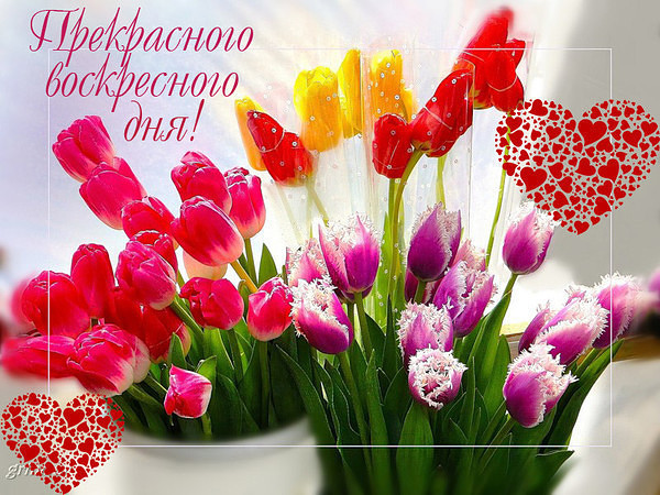 Воскресенье день недели картинки анимация, добрым