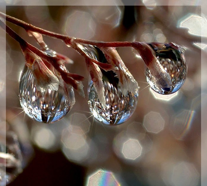 Звенит апрельская капель (Татьяна Егорова 16) / Стихи.ру