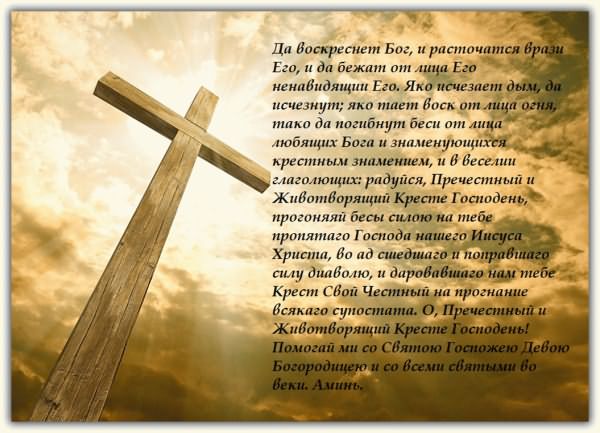 Убийцы планеты сидят в кабинетах