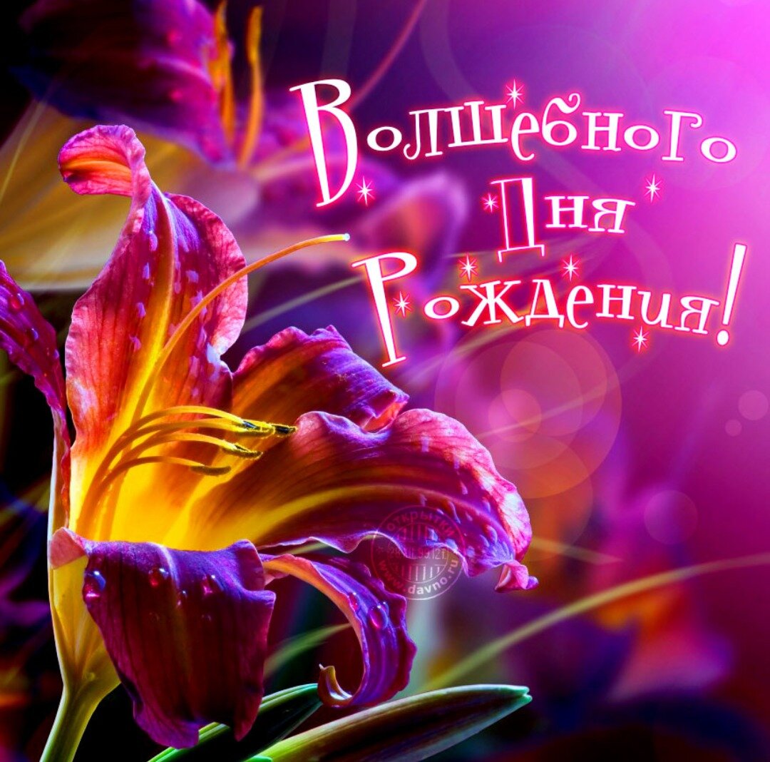 Прекрасные открытки к дню рождения, веселые