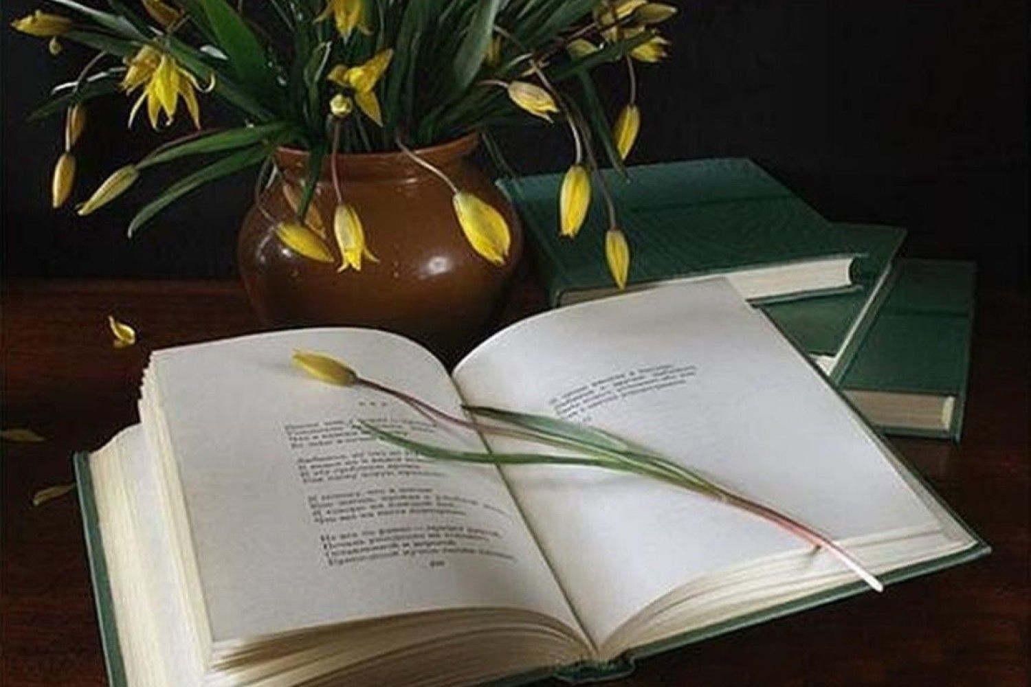 Открытки на тему книги, черном фоне надписями