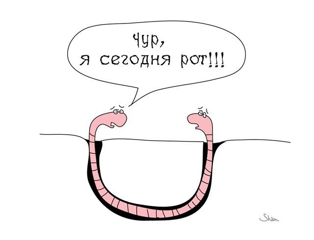 Послать открытку, картинки про червяков смешные