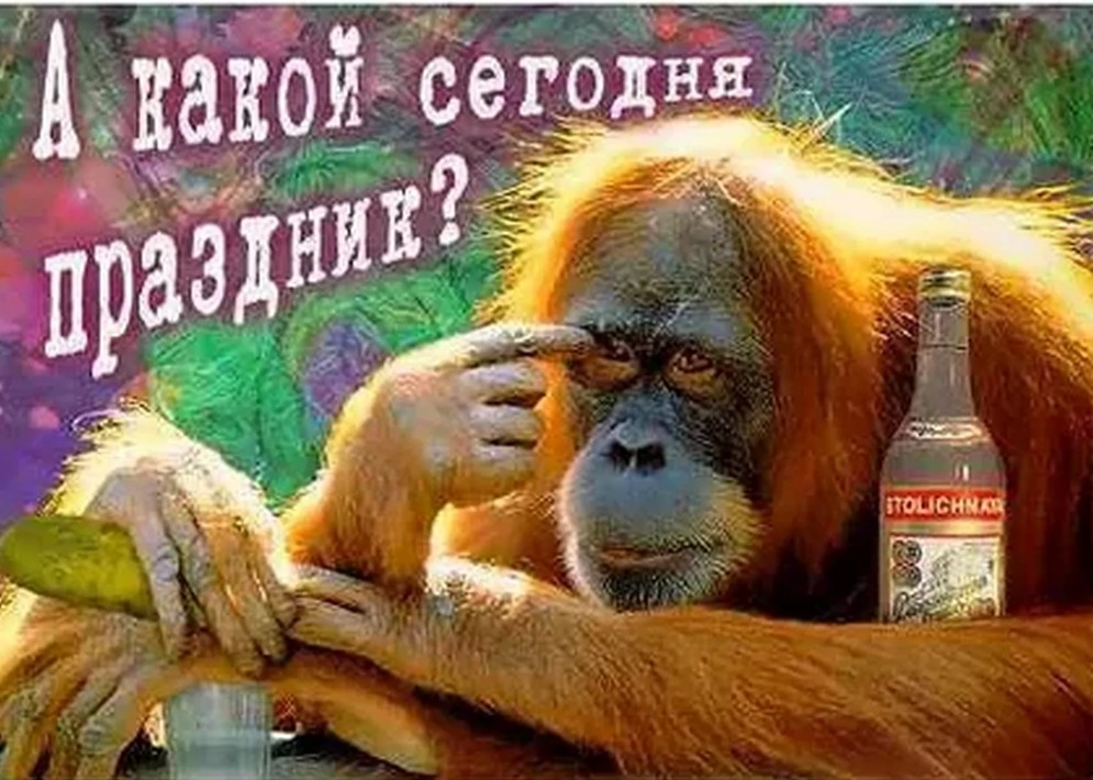 Новый, картинки приколы с праздниками
