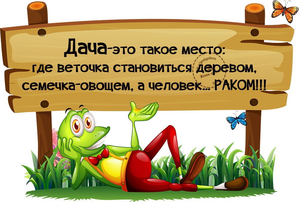 Открытки дачные, прикольные картинки