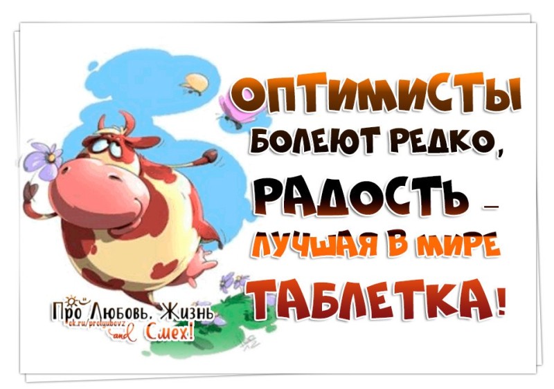 Посад картинки, оптимизм картинки с надписями