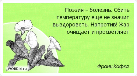 etot-razdel-poka-pust-nechayanno-uvidel-devushke
