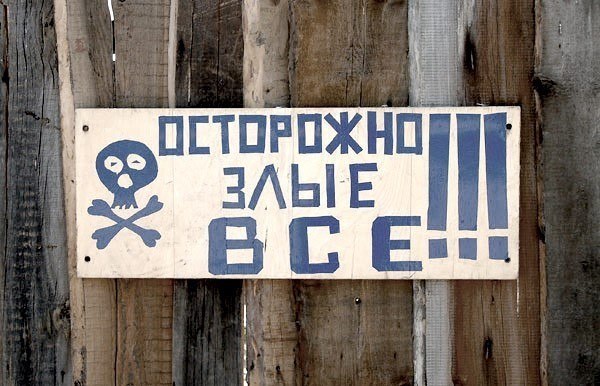Дурдом картинки с надписями, день