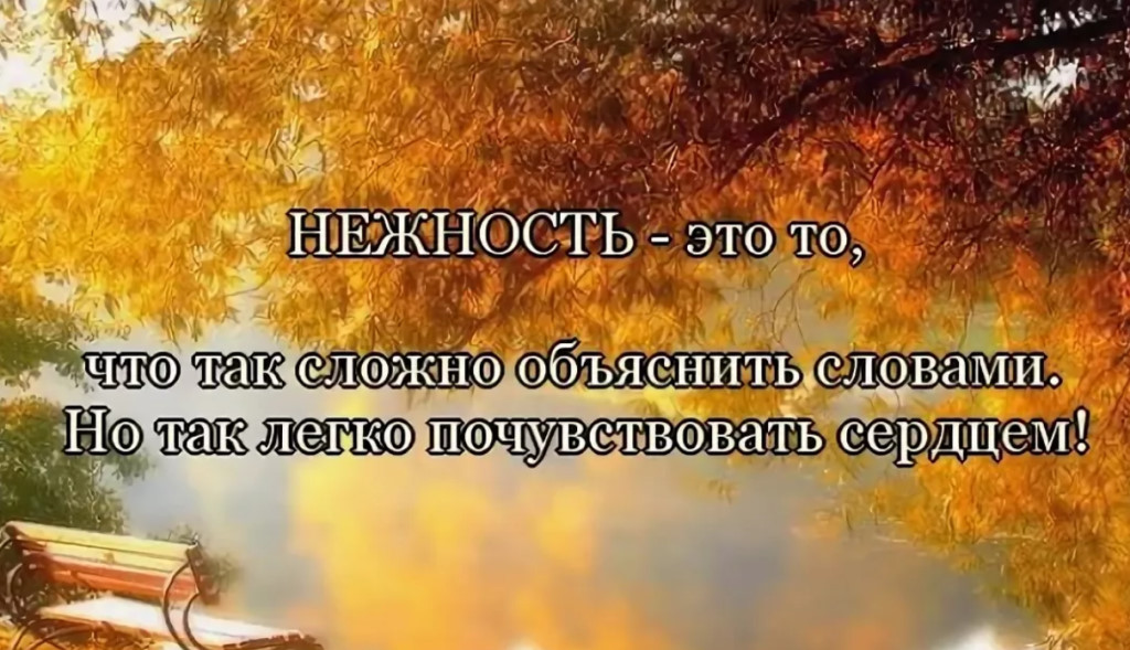 Картинки со словами о нежности, изображением мужчины