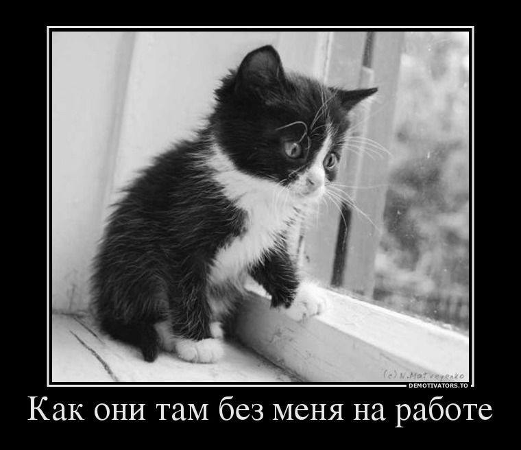 Смешная картинка на работе
