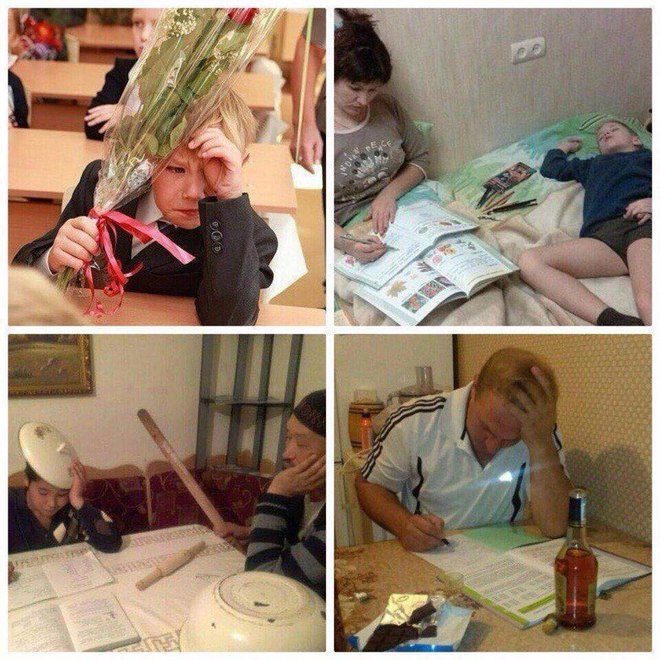 Делаем уроки смешные картинки, новорожденным картинки картинки