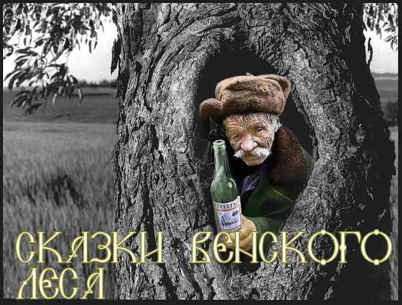 Смешные картинки лесника