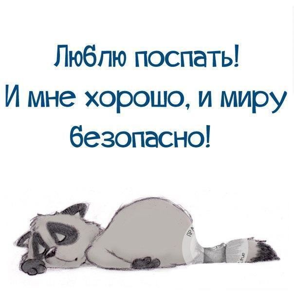 Сретения, люблю спать картинки прикольные