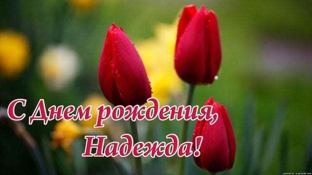 Открытки с днем рождения наденька женщине шикарные, поздравления