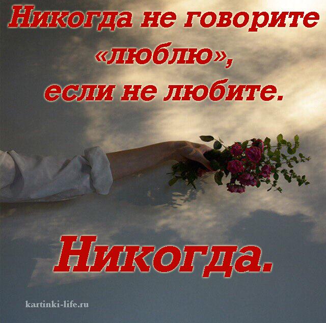 Эскизы, никогда не говори никогда открытки