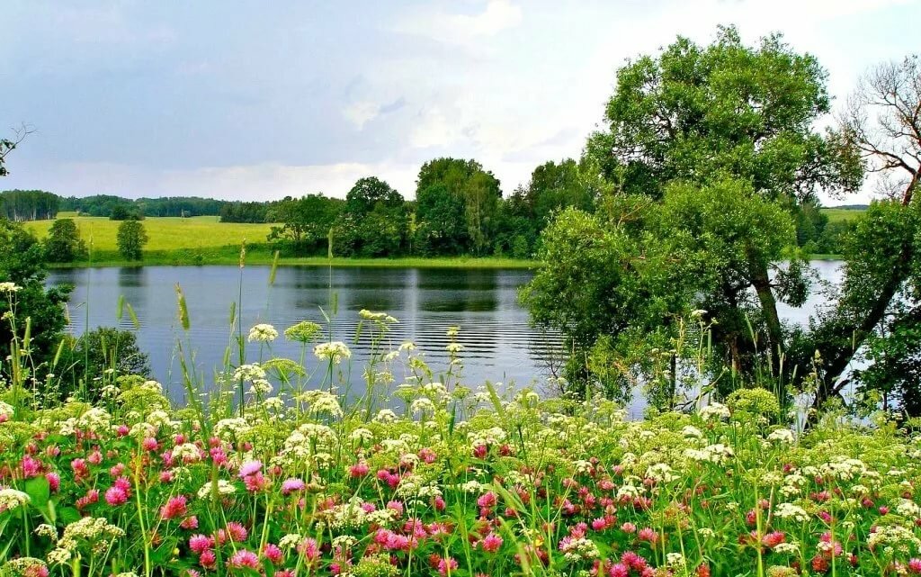 Картинки чудесного лета, юмором картинки