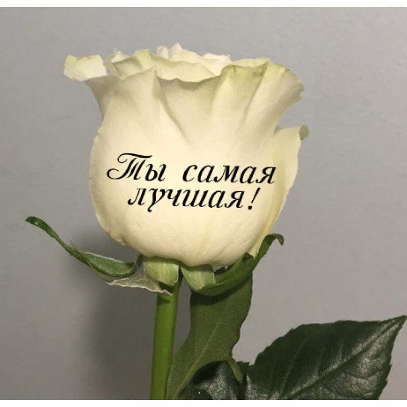 Красивые картинки с надписью ты прекрасная, маме день рождения
