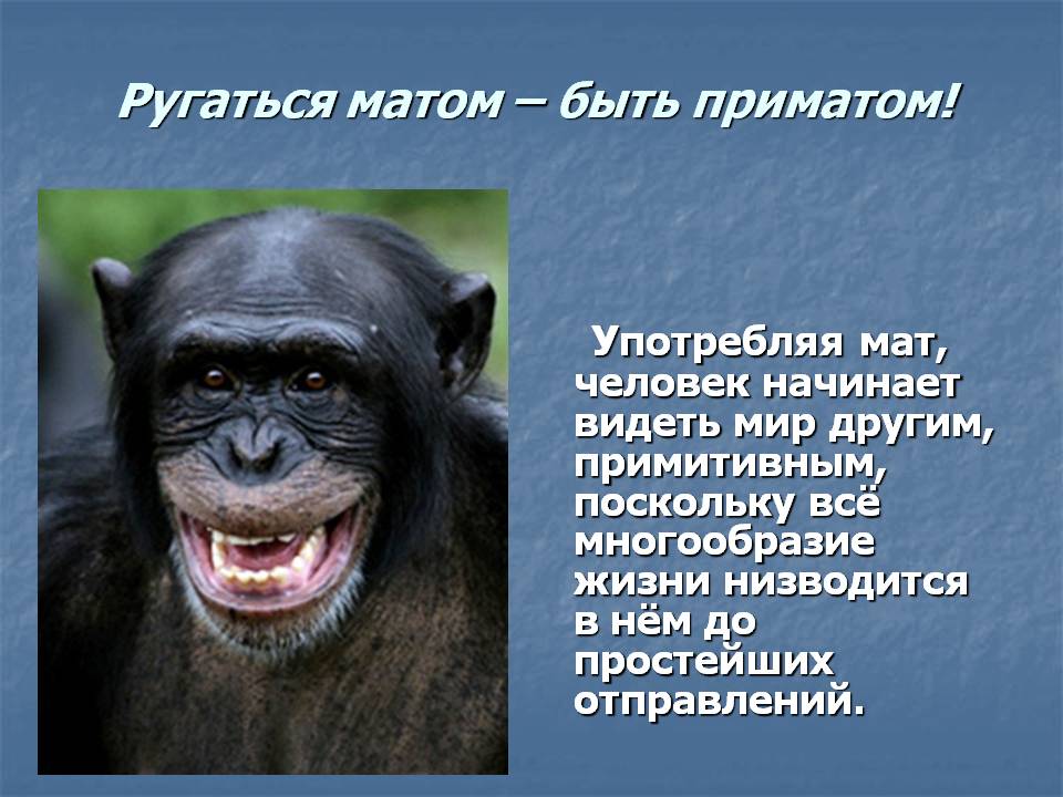 Картинки не ругаться матом
