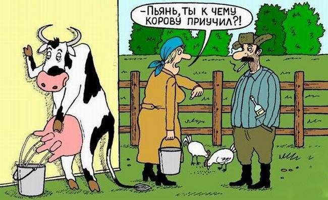 Надписями, открытки прикольные смешные про корову