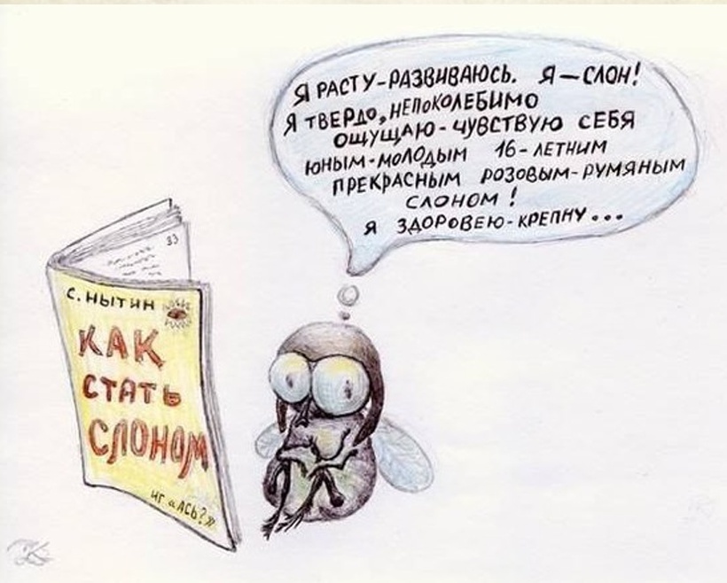 Тему моя, из мухи слона смешные картинки