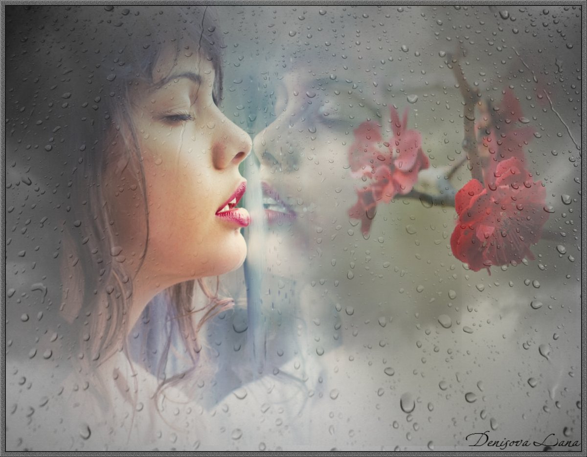 ��������� ������� �� ���� ��������� �������� ��� ��� �������