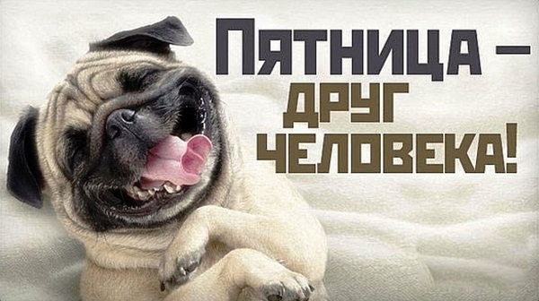 Картинки прикол про пятницу