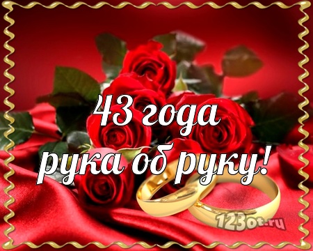 Смешные коты, картинка с 43 летием свадьбы