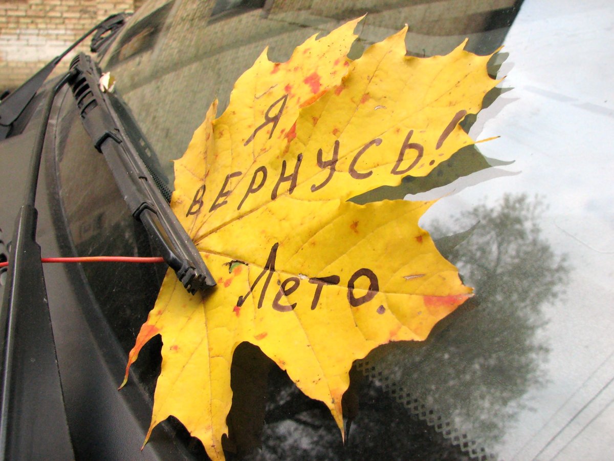 Не скучайте я обязательно вернусь ваше лето картинки, картинки очереди