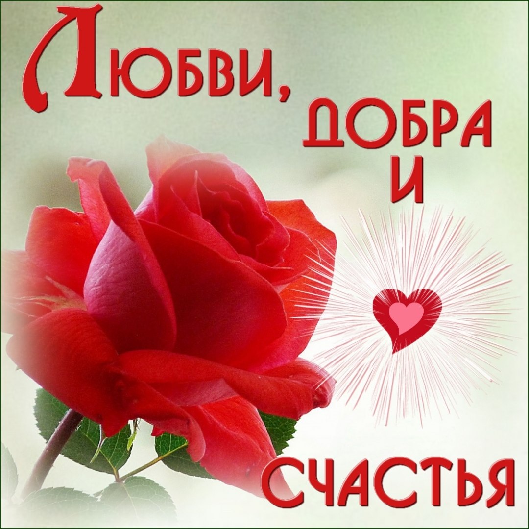 Открытка счастья любви удачи