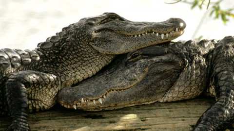 httpswwwstihirupics20191001692jpg4521