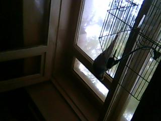 Глазастому и клыкастому в прок!