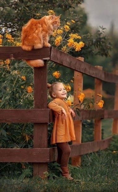 Осень - рыжая Хозяйка