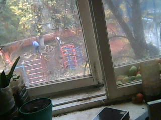 Образности несть числа!