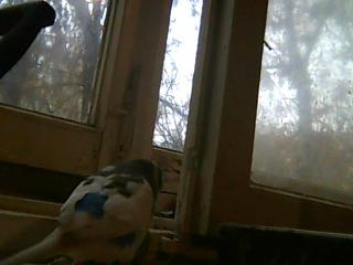 Под гипнозы и бытие!