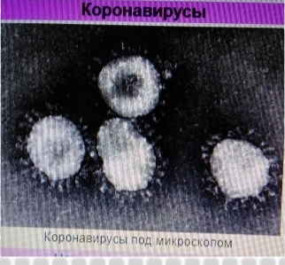 Где там правда